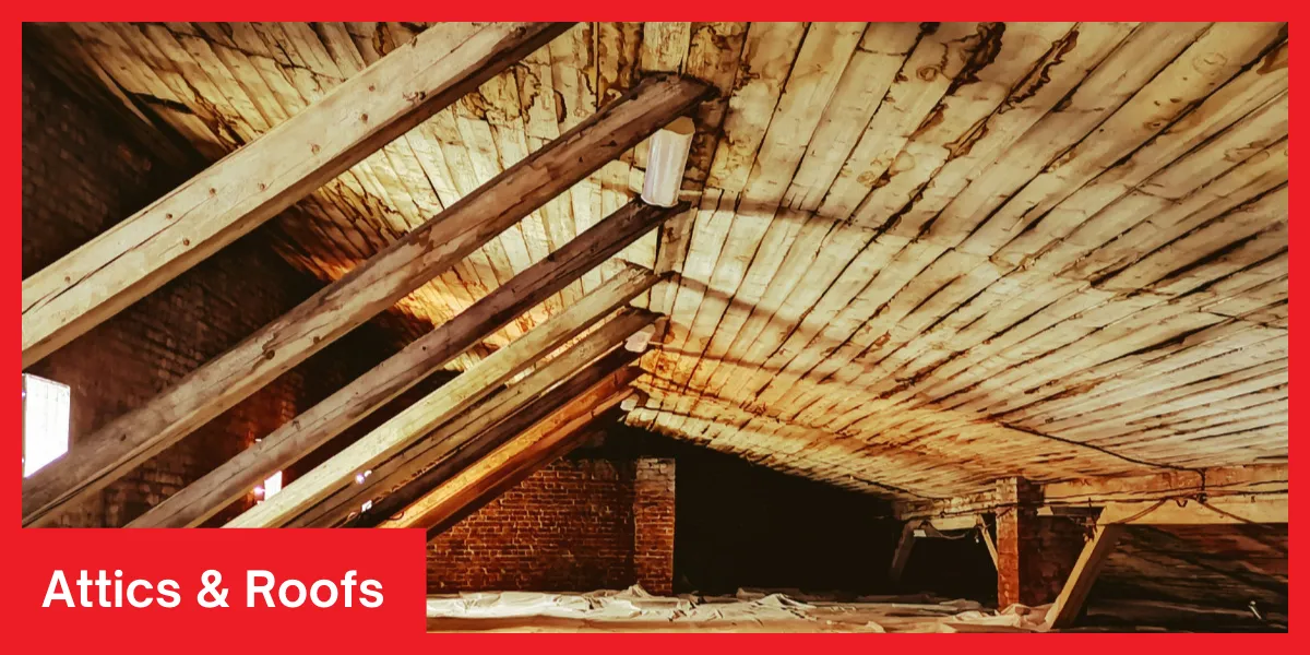 Restoration Company in Los Angeles, CA