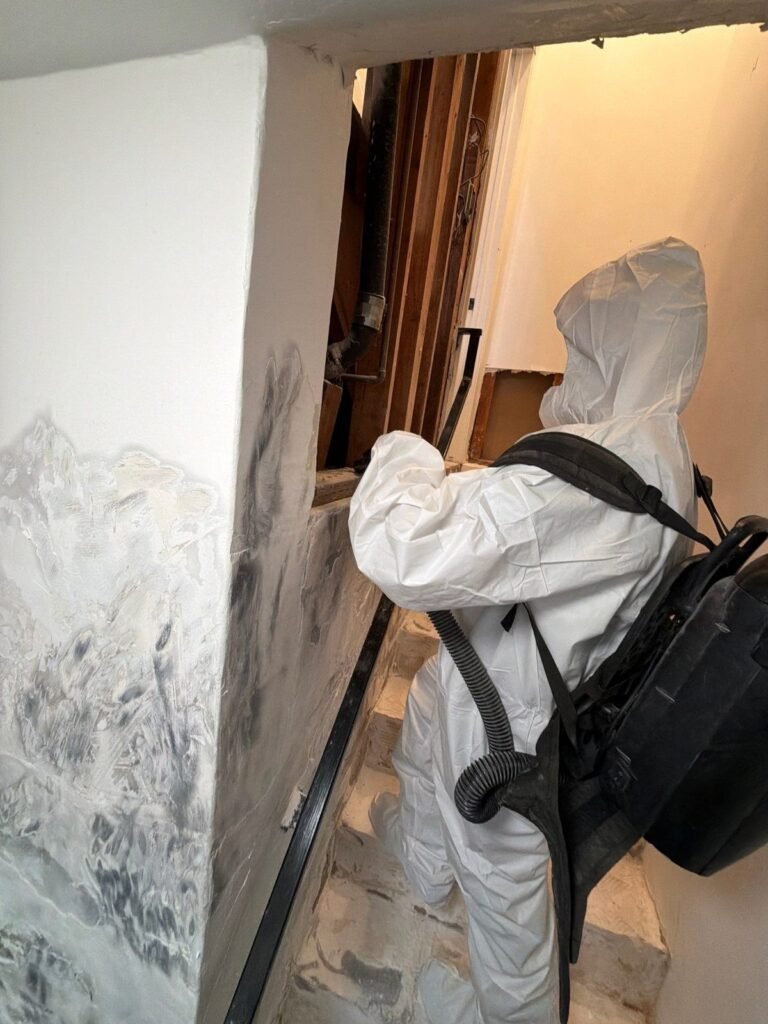 A technician with a backpack vacuum beside a wall covered in black mold in the East Bay